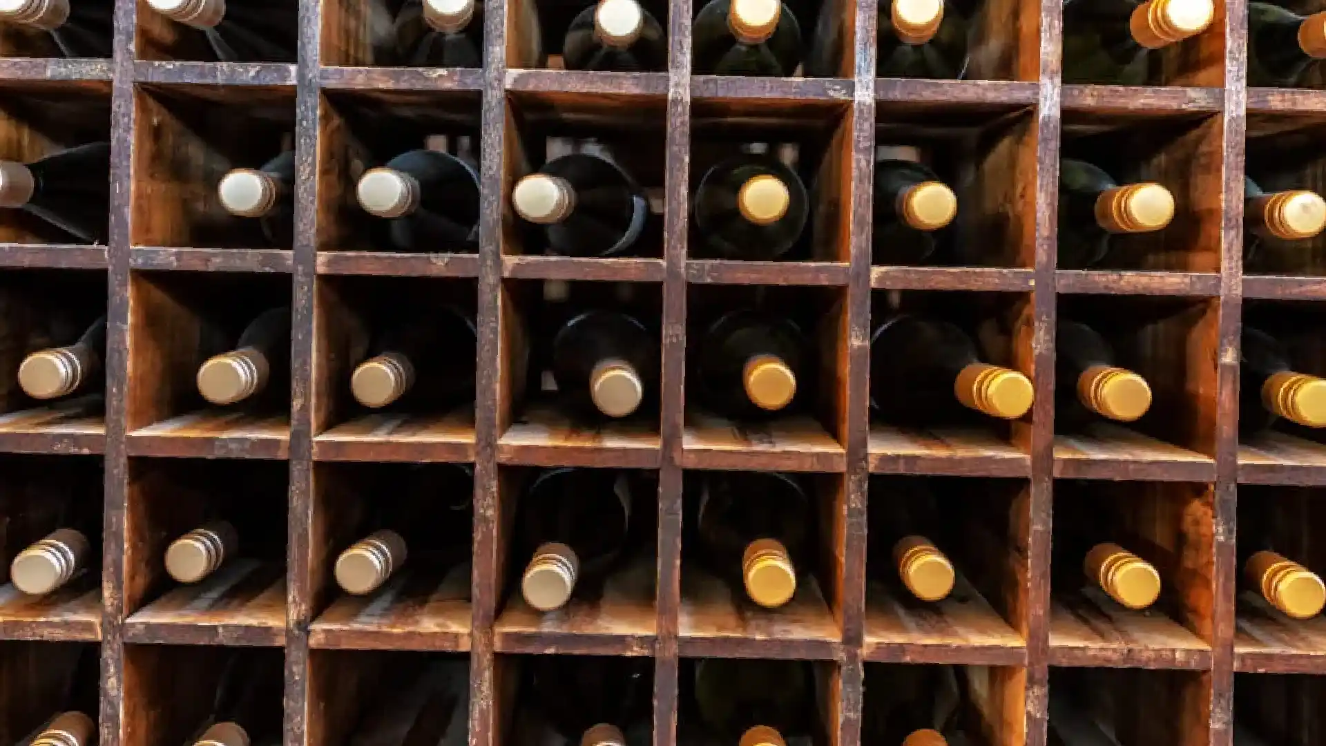 Botellas de vino guardadas correctamente en una bodega doméstica con temperatura y humedad estables